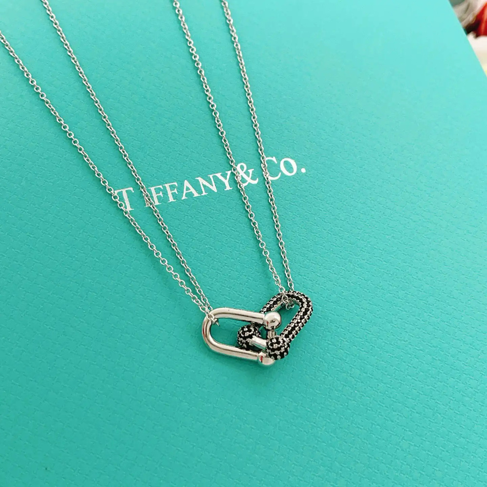 Tiffany & Co. Silver and Black Diamond Double Chain Horseshoe Necklace